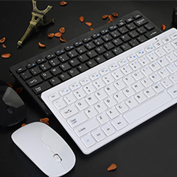 机械键盘WWW.免费看片机应用案例